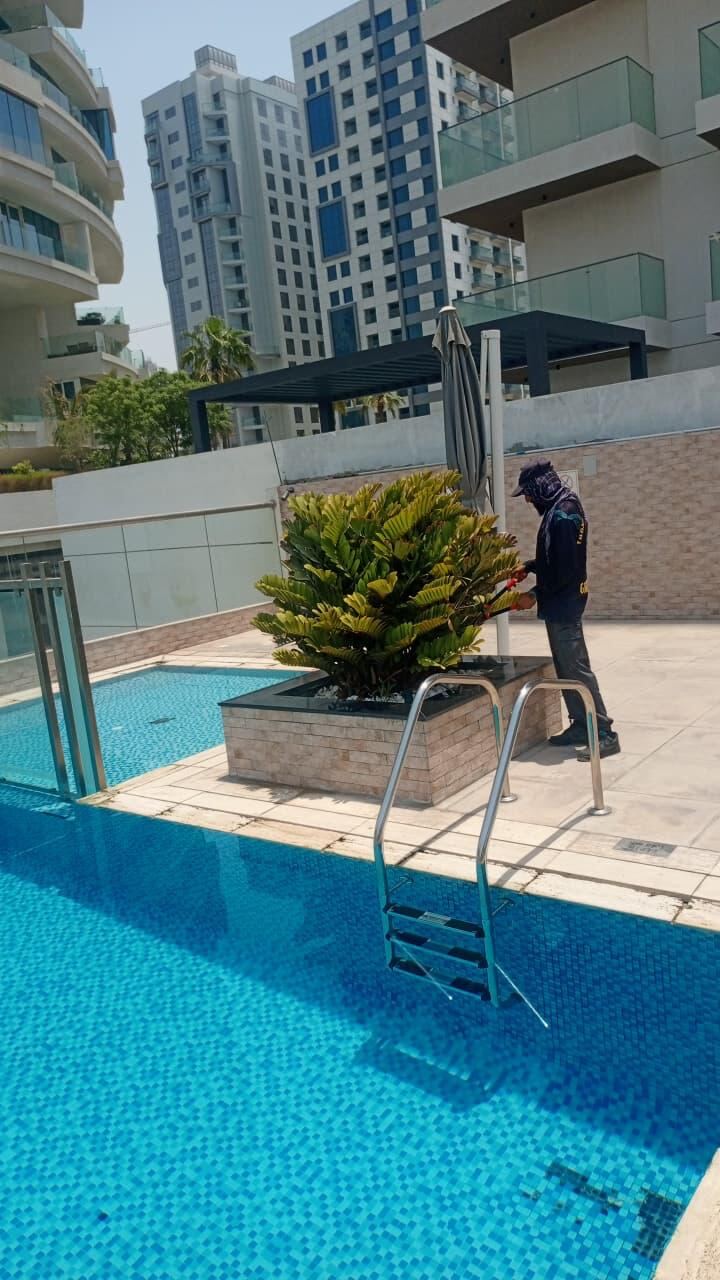 Poolside Garden Maintenance